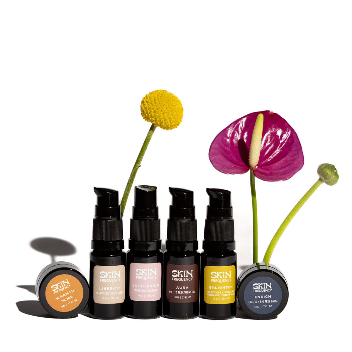 Discovery Sample Set