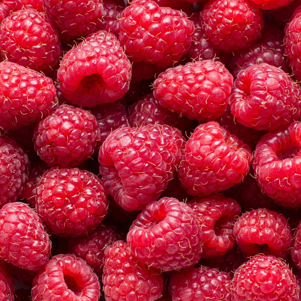 Red Raspberry