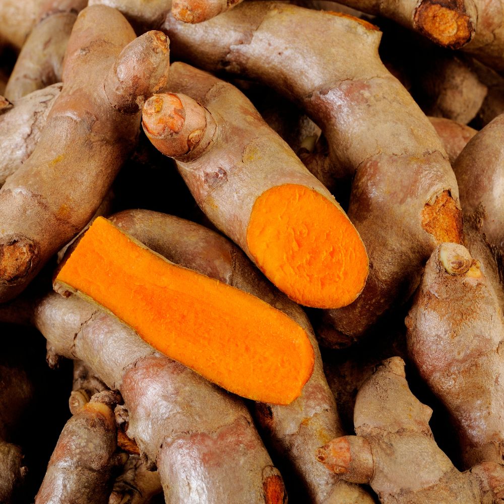 Turmeric