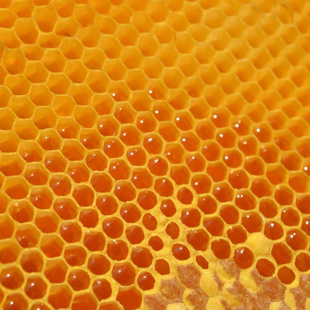 Beeswax